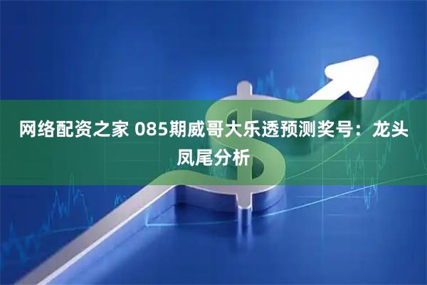 网络配资之家 085期威哥大乐透预测奖号：龙头凤尾分析